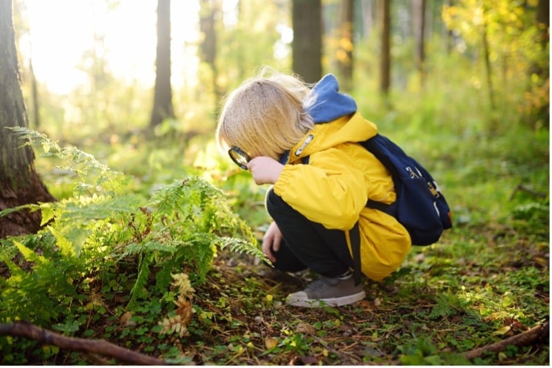 Kinder in der Natur